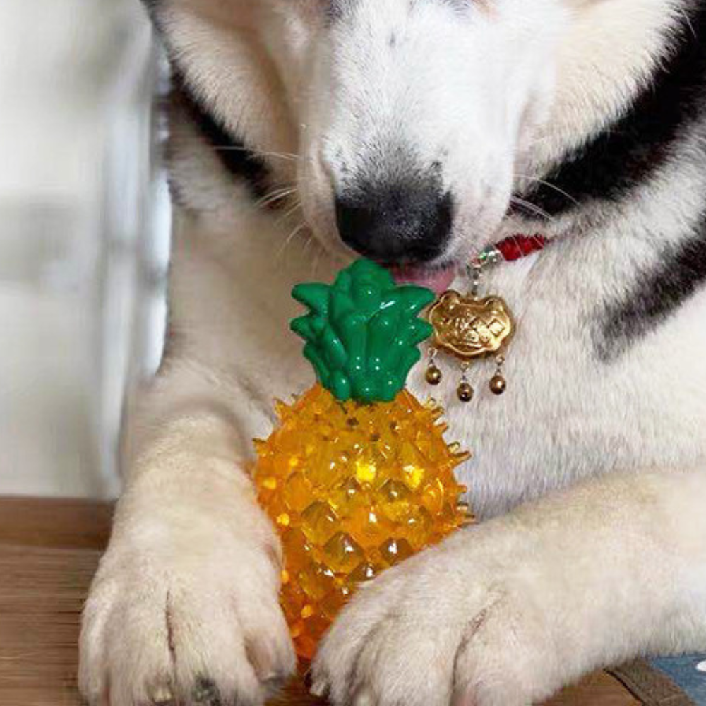 Freezable Cooling Dog Chew Toy