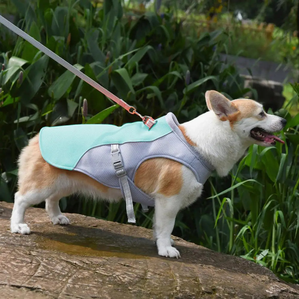 Dog Cooling Vest for Outdoor Use