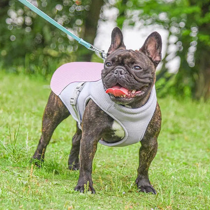 Dog Cooling Vest for Outdoor Use
