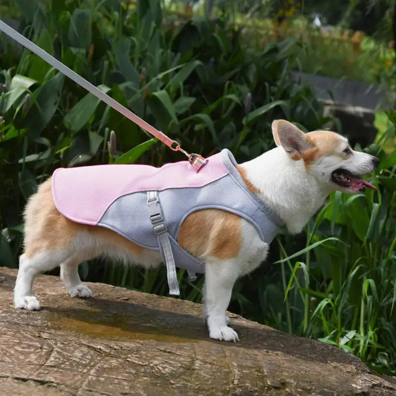 Dog Cooling Vest for Outdoor Use