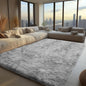VIKAMA Minimalist Style Living Room Carpet,