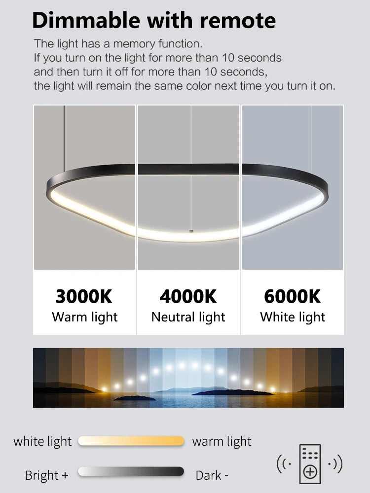 Modern Designer Chandelier Hanging Lamp
