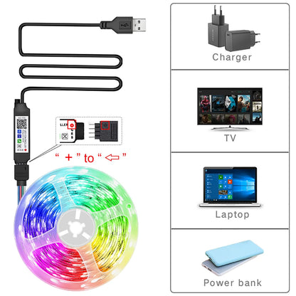 RGB Led Strip Lights 5m 10m 20m 30m