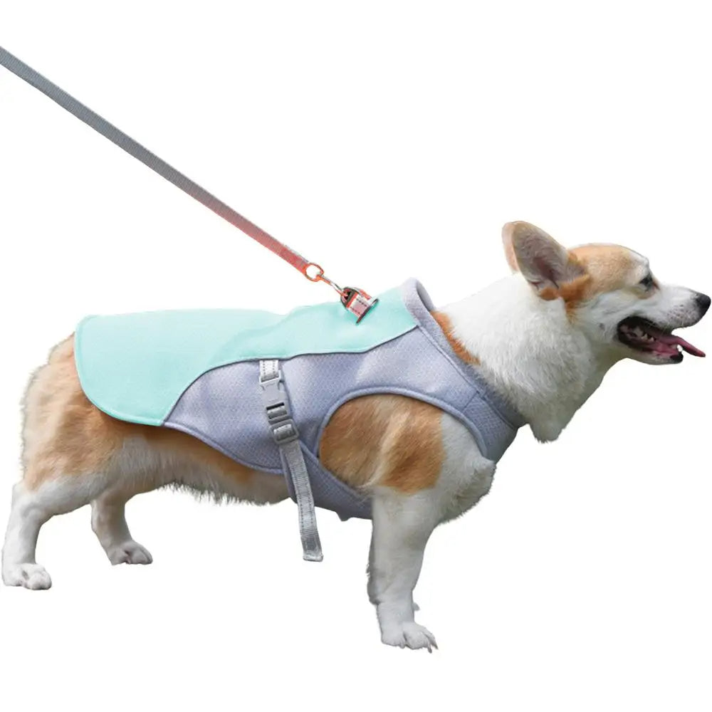 Dog Cooling Vest for Outdoor Use