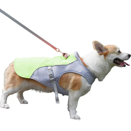Dog Cooling Vest for Outdoor Use