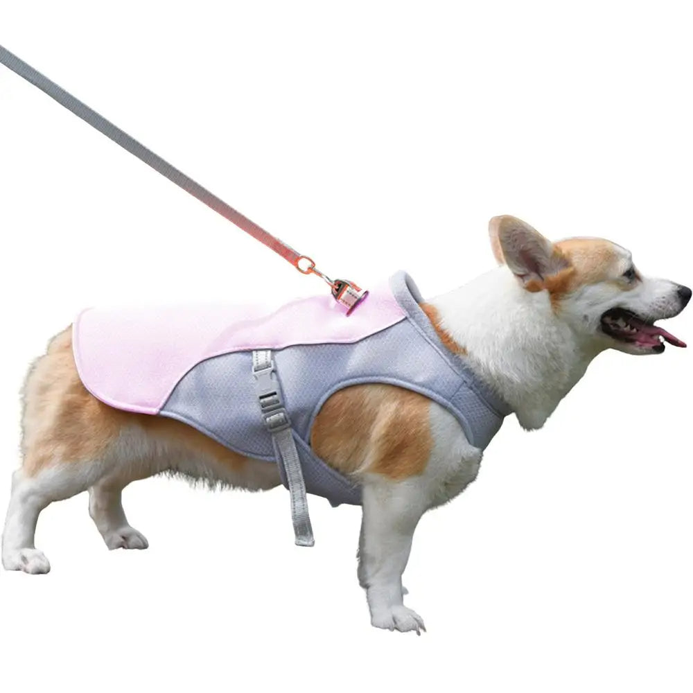 Dog Cooling Vest for Outdoor Use